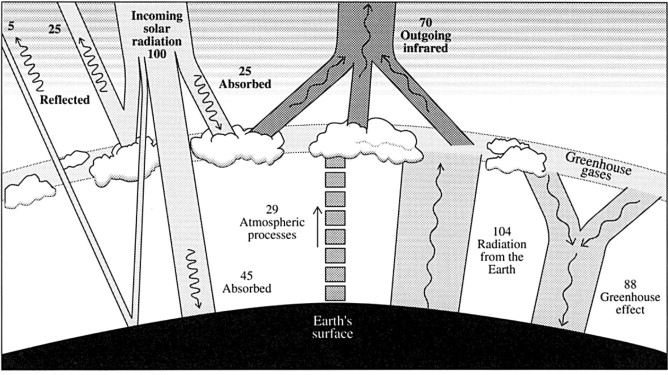 OAC001.jpg